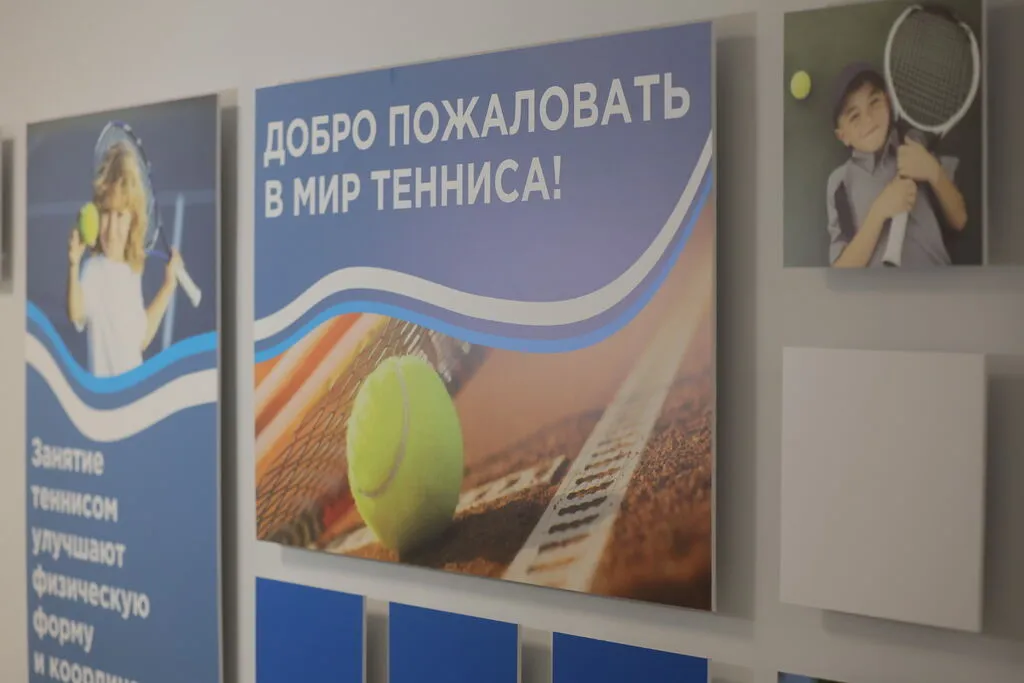 Теннис